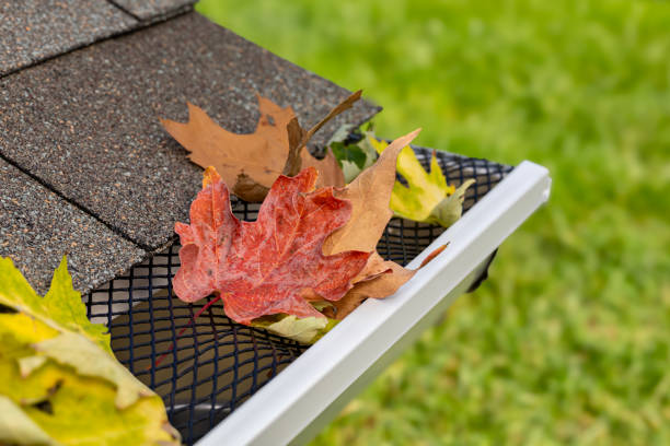 leaf filter gutter protection